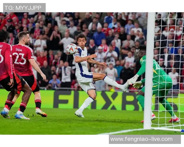 欧联杯热刺逆转里昂精彩绝伦补时进球引爆全场回顾十大经典进球瞬间